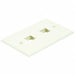 WallPlate Blank 2 Hole Ivory