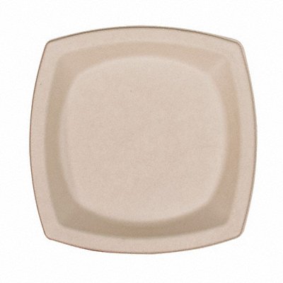 Disposable Plates