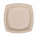 Disposable Plates