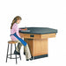 Laboratory Tables Workbenches and Surfaces