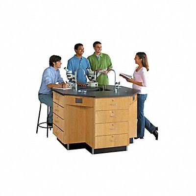 Laboratory Tables Workbenches and Surfaces