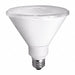 LED 17 W PAR38