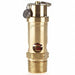 Safety Valve Soft Seat 3/4 In 125 PSI