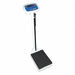 Physician Scale Digital 250kg/550lb. Cap