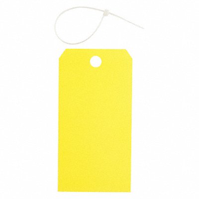 Blank Tag Polyester Colored PK25