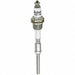 Level Control 3/4 NPT Probe