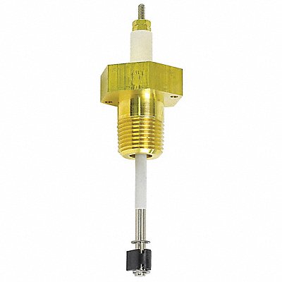 Remote Probe 1/2 NPT