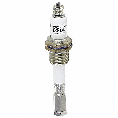 Electrode Assembly