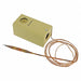 Control 2 SPDT 6 ft Cap.