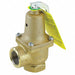 Pressure Safety Relief Valve 1 125 psi 