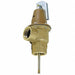 Pressure Safety Relief Valve 3/4 15 psi 