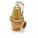 Pressure Safety Relief Vlve 1-1/4 30psi