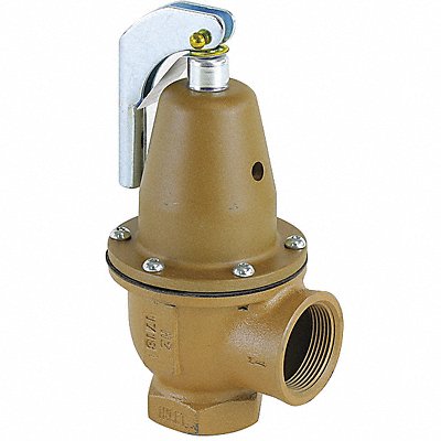 Pressure Relief Valve 40 psi 2590000 Btu