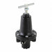 Air Regulator 1/4 0 to 125 psi