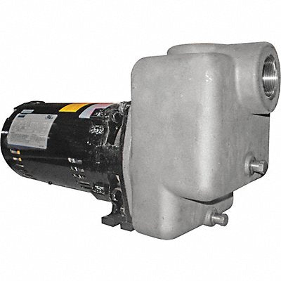 Self Priming Pump 3/4 HP 316 SS