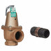 Temperature and Pressure Relief Valve