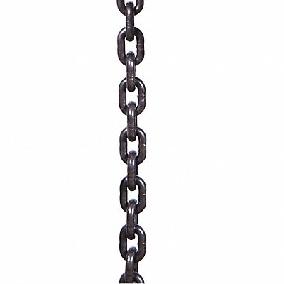 Load Chain For 20 ft Lift