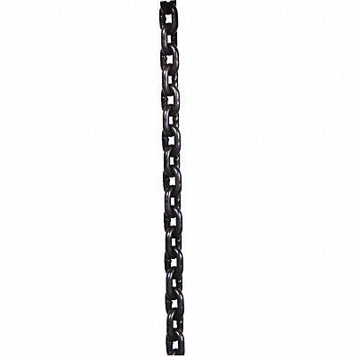 Load Chain For 10 ft Lift