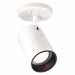 Flush Fixture 1L R20 Str Cylinder White