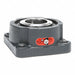 Flange Mount Bearings