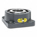 Flange Mount Bearings