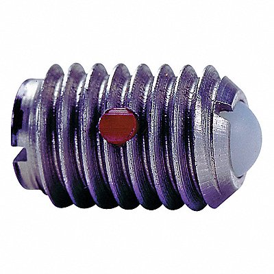 Spring Plunger 3/8 -16 SS PK5