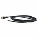 Cordset 16.4 ft Black 250VAC/300VDC