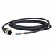 Cordset 6.56 ft Black 250VAC/300VDC