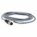 Cordset 6.56 ft Gray 250VAC/300VDC