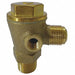 Check Valve