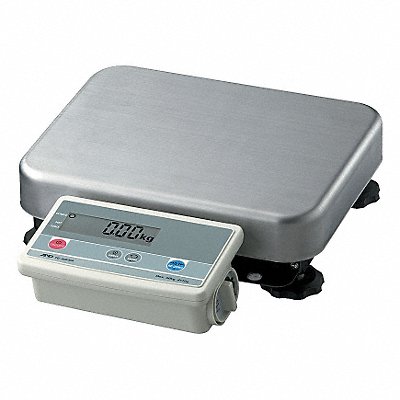 Balance Scale Digital 150 lb.