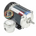 Motor 1/3 HP 1725 rpm 56 115/208-230V