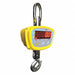 Crane Scale LED 500kg/1000 lb Cap.