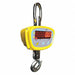 Crane Scale LED 2000kg/4000 lb Cap.