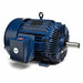 CT Motor 3-Ph TEFC 125 HP 460V