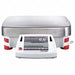 Precision Balance Digital 24 000g