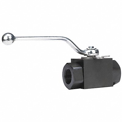 CS Ball Valve Inline FNPT 1 in