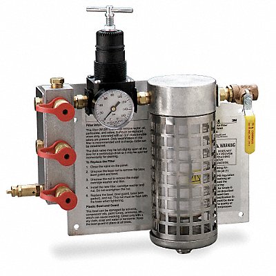 Wall Mount Air Filter w/Regulator Panel