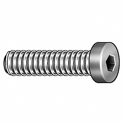 Socket Head Cap Screws