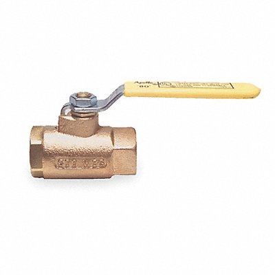 Bronze Gas Ball Valve FNPT 2-1/2 in