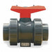 Poly Ball Valve Union Socket/FNPT 1 