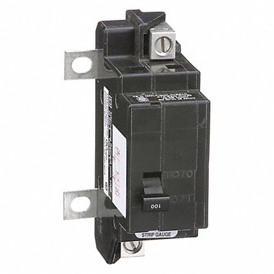 Circuit Breaker 100A Bolt On 120/240V 2P