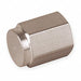 Hex Head Cap 316L SS 3/8 in Female NPT