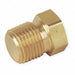 Hex Head Plug Bright Brass 1/2 in