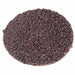 J0690 Quick-Change Sand Disc 2 in Dia TR PK50