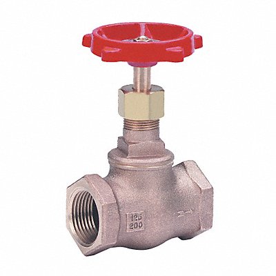 Globe Valve 1-1/4 Bronze FNPT 200 psi