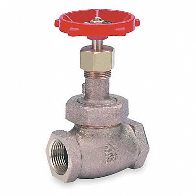 Globe Valve 2-1/2 Bronze FNPT 300 psi