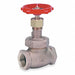 Globe Valve 2 Bronze FNPT 300 psi