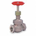 Globe Valve 1-1/2 Bronze FNPT 600 psi