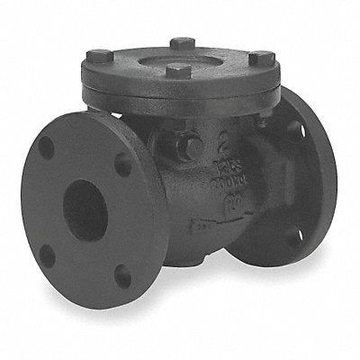 Swing Check Valve Cast Iron 6 Flange